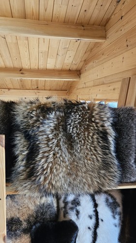 Marderhundkissen