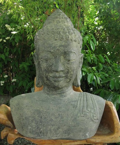 Buddha kopf büste - kopf,