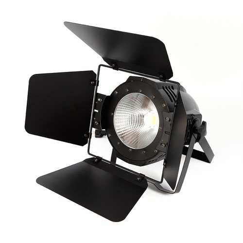 2in1 100w cob - 2in1, led