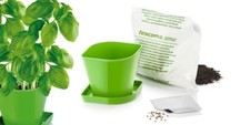 Tescoma Kräuteranbau Set SENSE Basilikum Saatgut Blumentopf Kräutertopf Kräuter