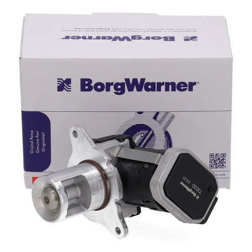 Borgwarner agr ventil - borgwarner, für