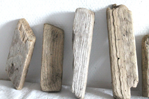 Schwemmholz treibholz 7 - schwemmholz,