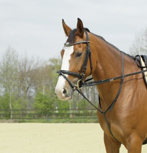 Thiedemann kombination basic - thiedemann-kombination,