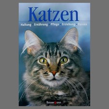 Katzen · Haltung, Ernährung