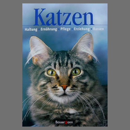 Katzen haltung ernährung - ·, haltung,