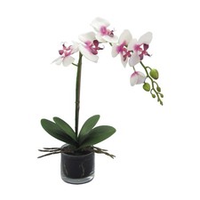 Kunstblume PHALENOPSIS (Künstliche Orchidee) im runden Glas. Ca 42cm. WEISS LILA