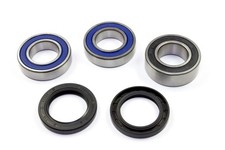 Radlager Satz 25-1420 hinten