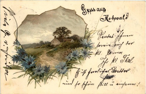 Gruss aus hohwald gelaufen - hohwald, in
