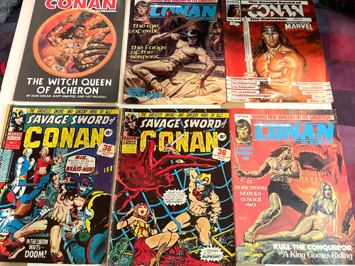 Conan the barbarian vintage - the,