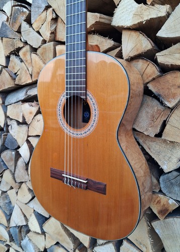 192 pro arte konzertgitarre - pro,