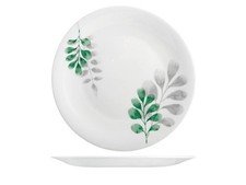 6 Teller Opal Botanik Grün