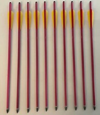 10 Alubolzen 20" rot 2219 lange Feder 4" Armbrustpfeile Armbrustbolzen Alupfeil