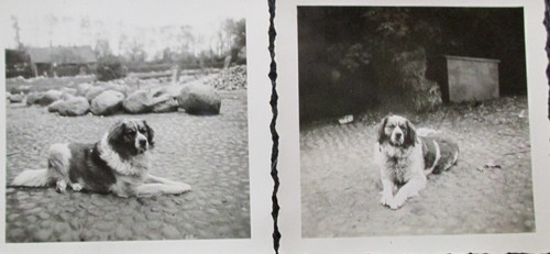 Erbe priv foto sammlung ca - kl.,