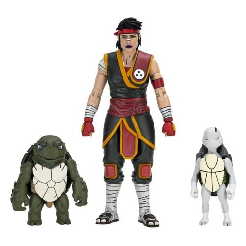 Teenage mutant ninja - ninja, turtles