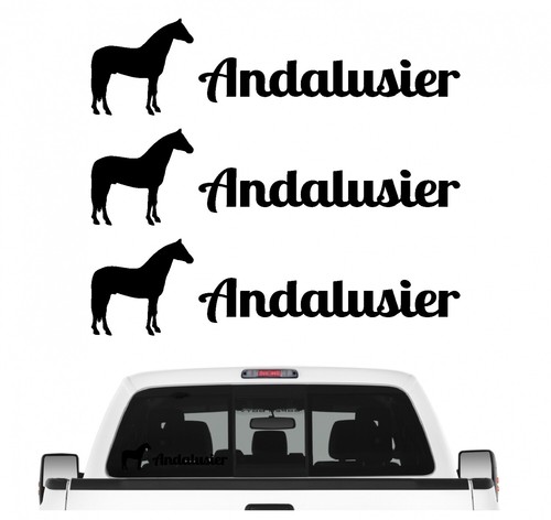 Andalusier sportpferd - andalusier,