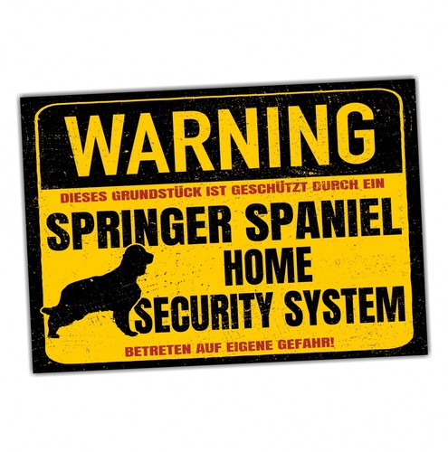 Schild springer spaniel - springer,