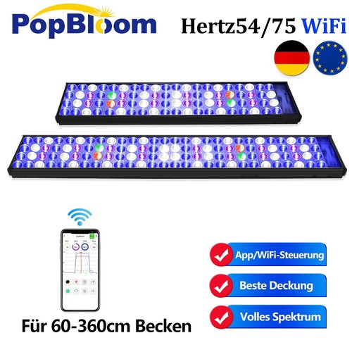 Popbloom vollspektrum - popbloom,