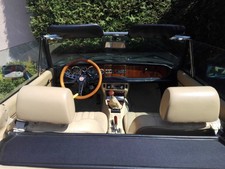 Sonnenblende für Fiat 124