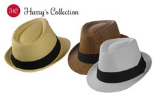 Trilby Hut in 3 Farben