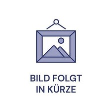 Einhell Blue Flame Gasheizofen BFO 4200/1 (2332351)