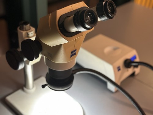 Zeiss stemi 2000 - zeiss,