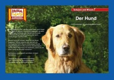 Der Hund / Kamishibai Bildkarten: 10 Fotobildkarten für das Erzähltheater P