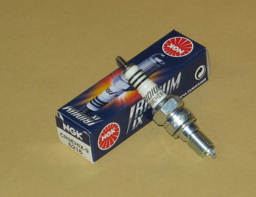 Zündkerze ngk iridium - ngk, für