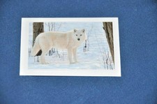 REWE ABENTEUER TIERWELT