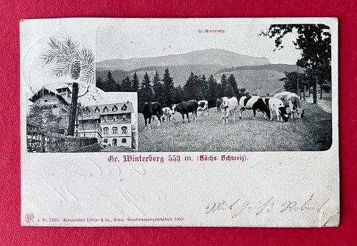 Sächsische schweiz 1906 - ak,