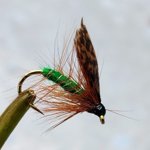 Gilchrist fliegen nassfliegen - gilchrist, fliegen.