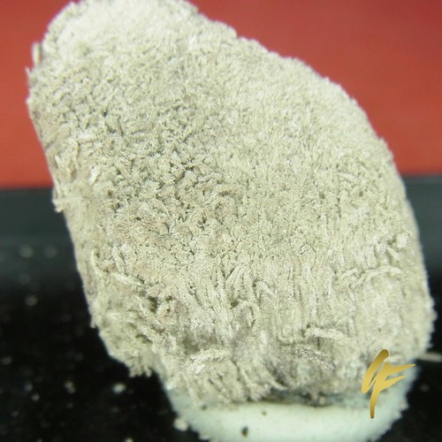 Gediegen silber dendriten auf - gediegen, silber/dendriten