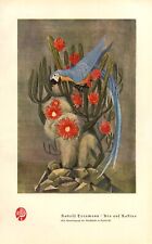 Ara auf Kaktus Kunstdruck 1931 v. Rudolf Treumann * Rastatt † Herrsching Papagei