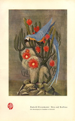 Ara auf kaktus - ara, kunstdruck
