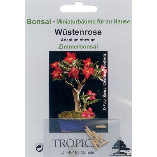 Bonsai samen adenium - bonsai, 8