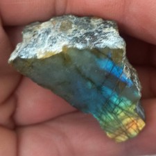 Klein aber Fein Poliert