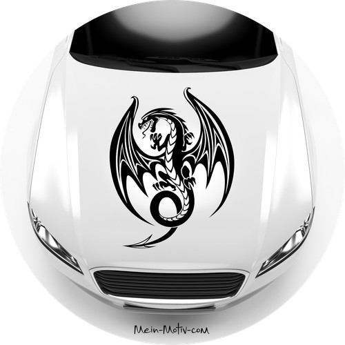 Autoaufkleber drachenmädchen - autoaufkleber,