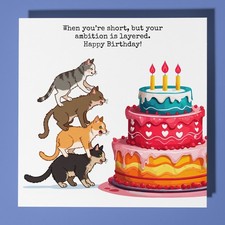 Katzenpyramide - Happy