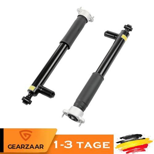 Stoßdämpfer hinten - stoßdämpfer,