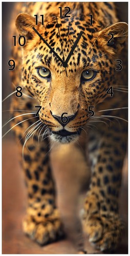 Wallario wanduhr leopard - wallario,