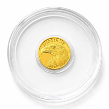 24k Pure Gold American Eagle