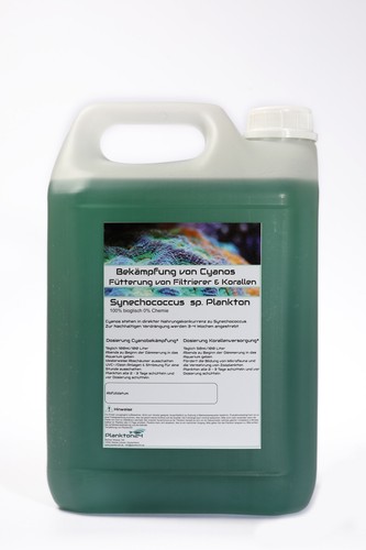 Liter synechococcus sp - liter,
