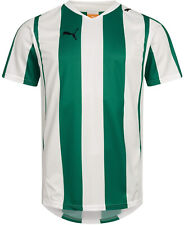 PUMA PowerCat 5.10 Striped Trainingsshirt Trikot T-Shirt Jersey [741322-02]