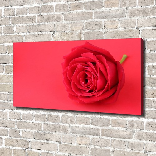 Leinwandbild kunst druck - leinwandbild, kunst-druck