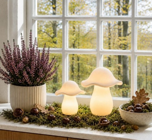 Led porzellan pilz herbst - led,