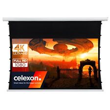 celexon basic Heimkino Business Motor Seilspann Tension-Leinwand 240x135cm 16:9
