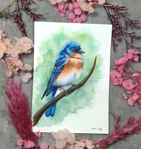 Aquarell vogel gemälde - aquarell,