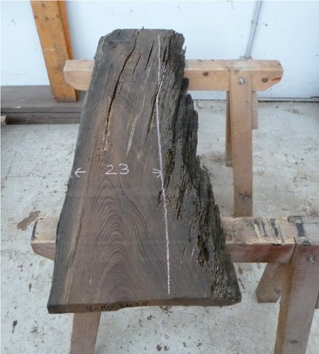 Mooreiche moorholz - mooreiche,