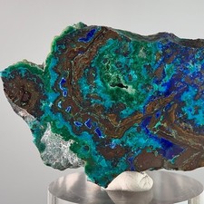 Seltene Malachit & Azurit Palmensteinscheibe aus Tsumeb Namibia - Mineralpräparat