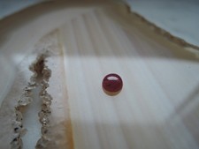 Echter rubin rund - echter, cabochon