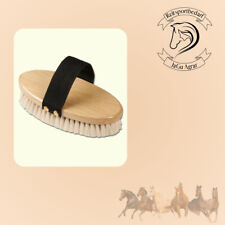 Schmuse- und Glanzbürste für